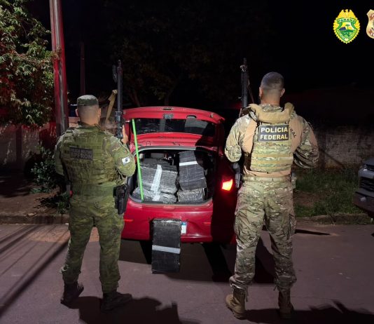 Ação integrada apreende 329 kg de maconha e prende dois homens em Mundo Novo