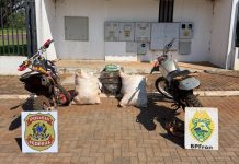 Polícia Federal e BPFRON apreenderam inseticidas e cigarros contrabandeados em Guaíra