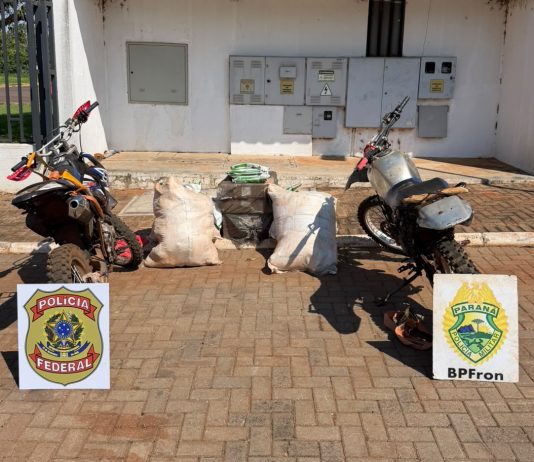 Polícia Federal e BPFRON apreenderam inseticidas e cigarros contrabandeados em Guaíra
