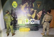PF, BPFRON e Receita Federal apreendem mais de 400 kg de maconha durante abordagem em Umuarama