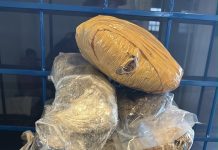 PRF apreende 2,47 kg de skunk escondidos em estepe de veículo na BR-272, em Guaíra