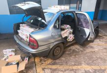 Guarda Municipal apreende 470 pacotes de cigarros contrabandeados em Guaíra