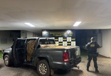 Em menos de três meses, DOF apreende quase 30 toneladas de drogas e mais de 1,4 milhão de maços de cigarros contrabandeados