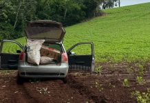 Polícia Federal apreende 260 pacotes de agrotóxicos paraguaios em Guaíra