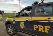 PRF apreende 50,5 kg de maconha e prende homem por tráfico na BR-163, em Mundo Novo