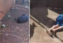 Dois homens são baleados e transferidos em estado grave de Naviraí para Dourados